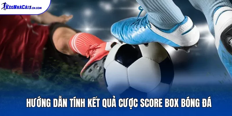 Hướng dẫn tính kết quả cược Score Box bóng đá