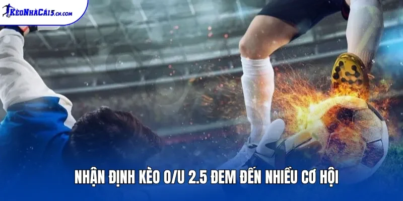 Nhận định kèo O/U 2.5 đem đến nhiều cơ hội