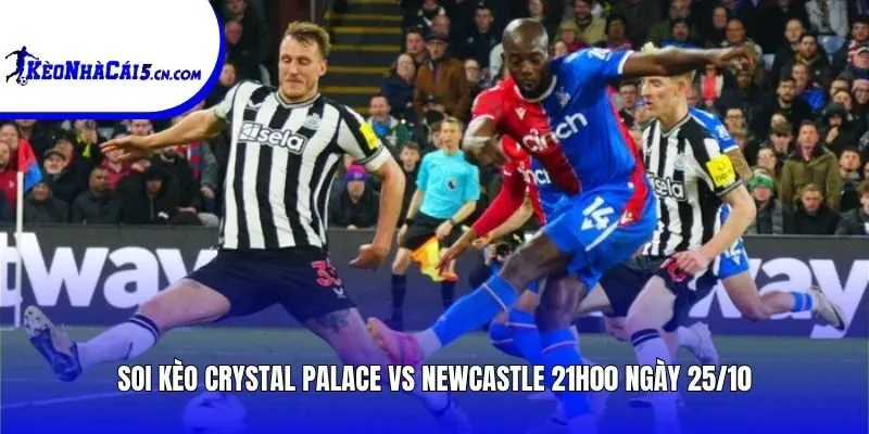 Soi kèo Crystal Palace vs Newcastle | 21h00 ngày 25/10